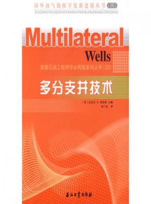 多分支井技术