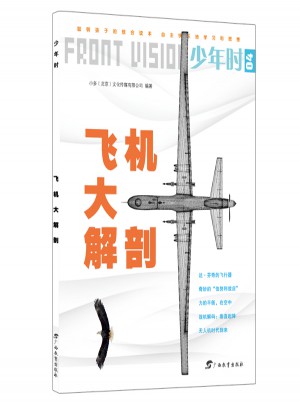 少年时·飞机大解剖