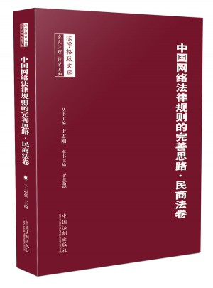 中国网络法律规则的完善思路：民商法卷图书
