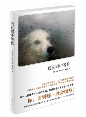 我在雨中等你