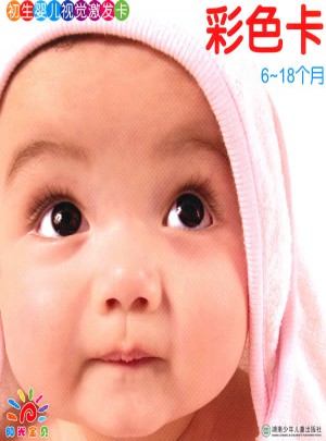 初生婴儿视觉激发卡彩色卡（6-18个月）图书