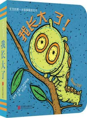 宝宝的及时本躲猫猫游戏书：我长大了