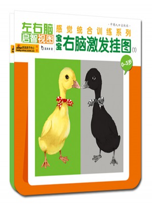 宝宝右脑激发挂图（全两册）