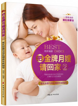 把金牌月嫂请回家2·催乳按摩与母乳喂养专家指导图书