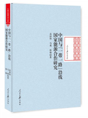 中国与一带一路沿线国家能源合作研究