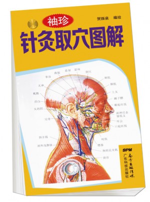 袖珍针灸取穴图解