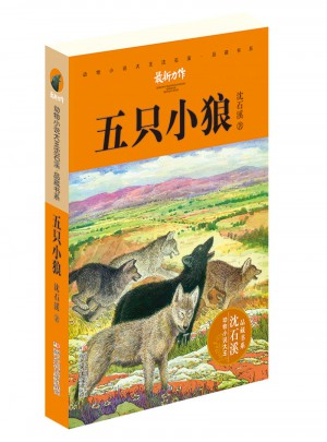 动物小说大王沈石溪·品藏书系：五只小狼图书