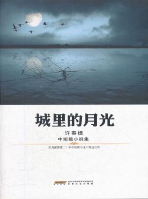 城里的月光