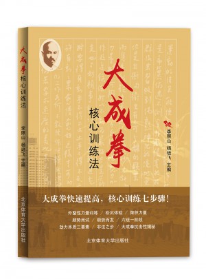 大成拳核心训练法