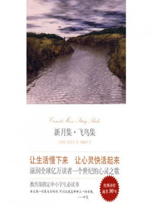 新月集·飞鸟集（精装）
