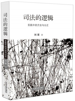 司法的逻辑：实践中的方法与公正