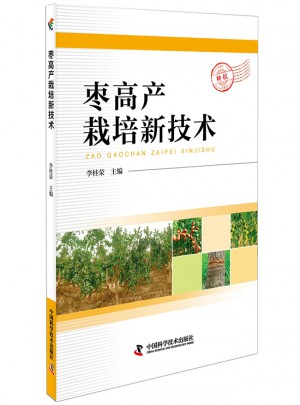 枣高产栽培新技术
