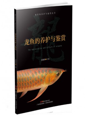 龙鱼的养护与鉴赏