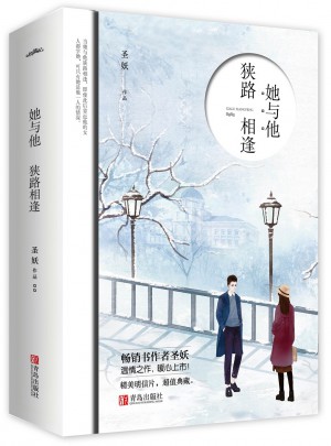她与他，狭路相逢（共2册）