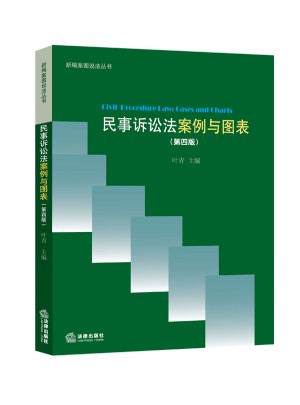 民事诉讼法：案例与图表（第四版）