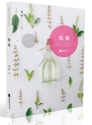 鲁迅文学奖获奖者小说丛书·化妆