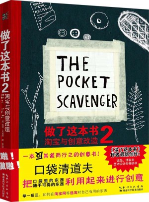 做了这本书2：淘宝与创意改造