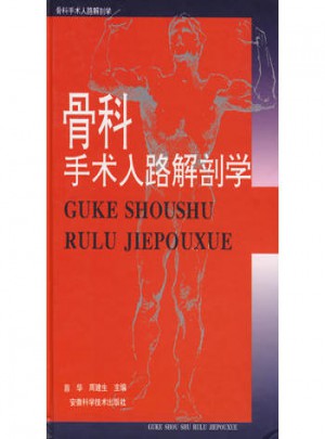 骨科手术入路解剖学