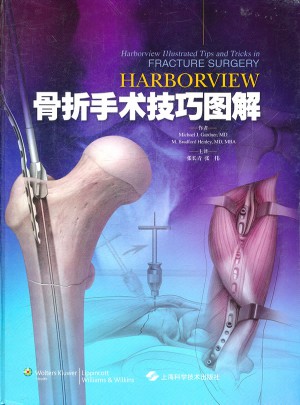 HARBORVIEW骨折手术技巧图解图书