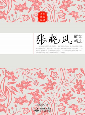 张晓风散文精选