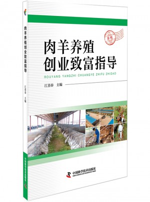 肉羊养殖创业致富指导