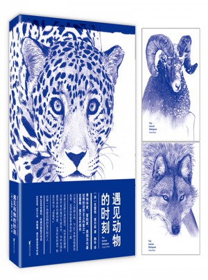 遇见动物的时刻