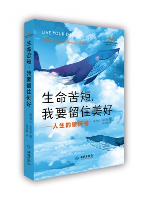 生命苦短，我要留住美好：人生的破折号图书