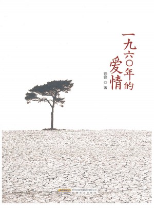 一九六〇年的爱情