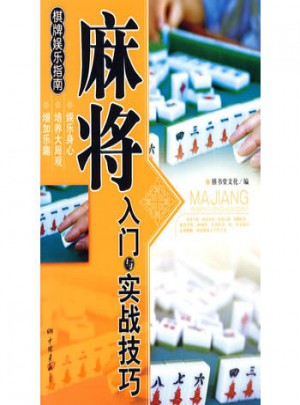 麻将入门与实战技巧·棋牌娱乐指南