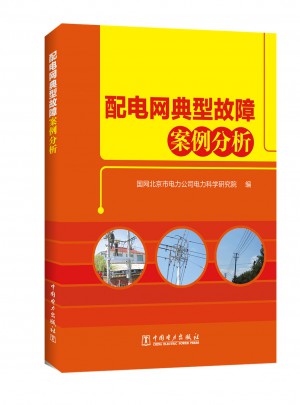 配电网典型故障案例分析