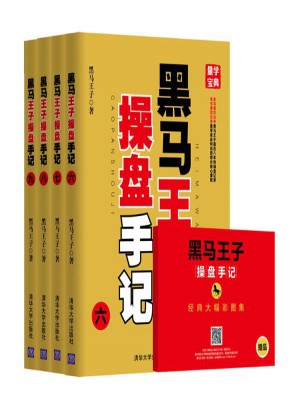 黑马王子操盘手记(6-9)