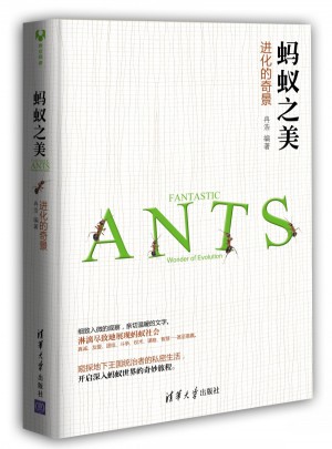 蚂蚁之美:进化的奇景