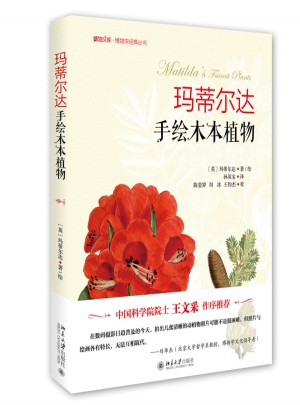 玛蒂尔达手绘木本植物