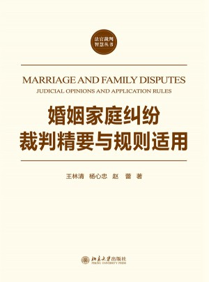 婚姻家庭纠纷裁判精要与规则适用