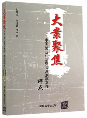 大案聚焦·中国2013年最受关注刑事案件评点图书