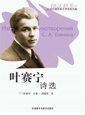 叶赛宁诗选(20世纪俄罗斯文学名家名篇系列)(2013新)图书