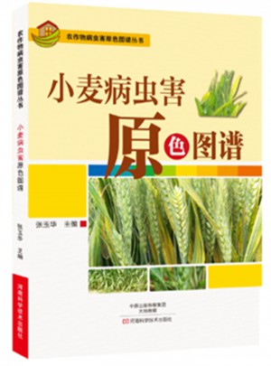 小麦病虫害原色图谱