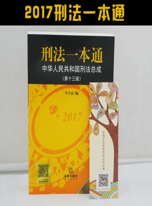 刑法一本通· 法律刑法总则 刑法法条中华人民共和国刑法总成·第十三版
