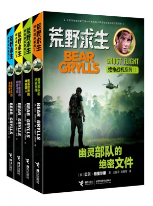 荒野求生绝命战机系列