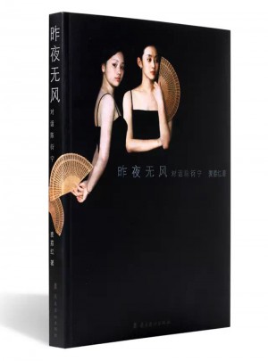 昨夜无风：对话陈衍宁