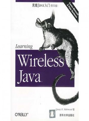 无线Java入门(影印版)