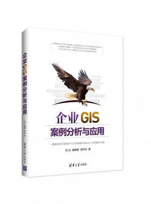 企业GIS案例分析与应用图书