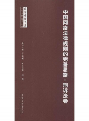 中国网络法律规则的完善思路刑诉法卷
