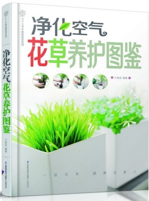 净化空气花草养护图鉴（汉竹）图书