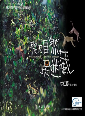 与大自然捉迷藏