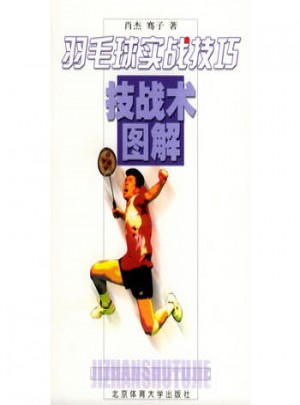 羽毛球实战技巧·技战术图解