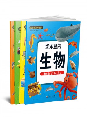 DIY创意粘土教程(共4册)