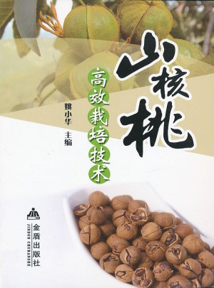 山核桃高效栽培技术