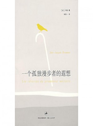 一个孤独漫步者的遐想