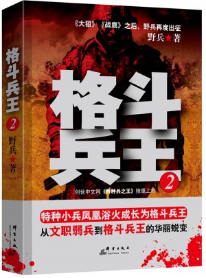 格斗兵王2